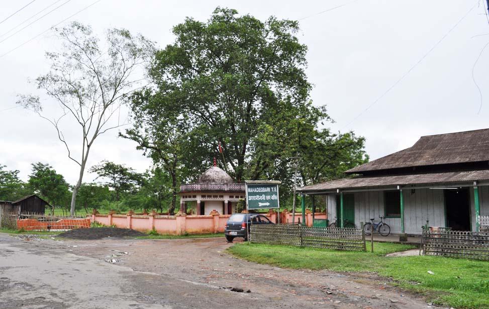 assam